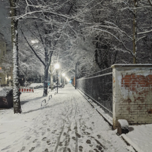 Alter Nord Friedhof Munich