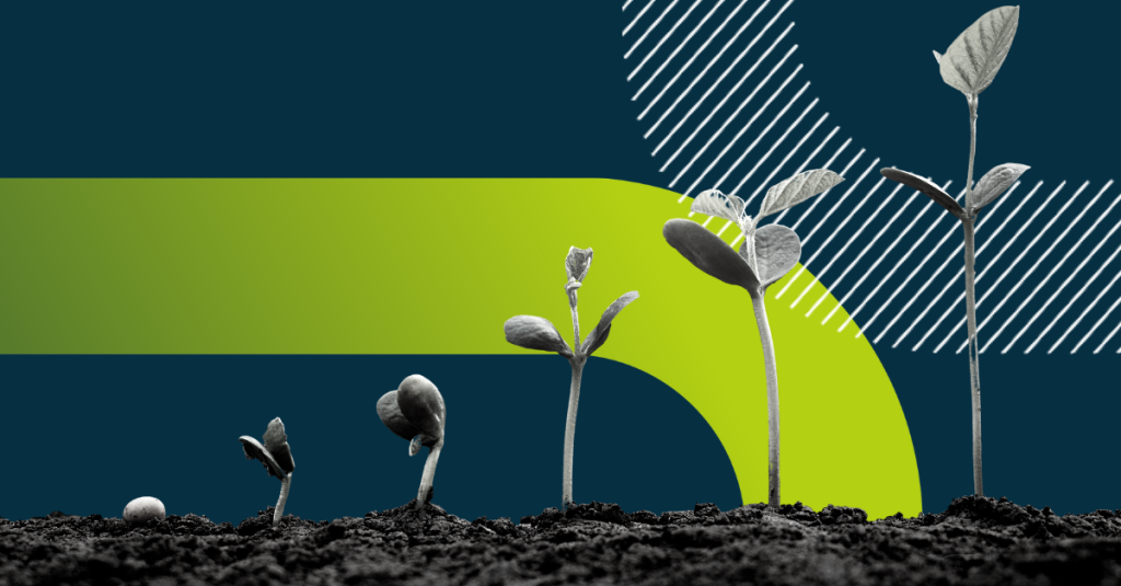 How to scale startup finance nitrobox blog feature image of growing saplings